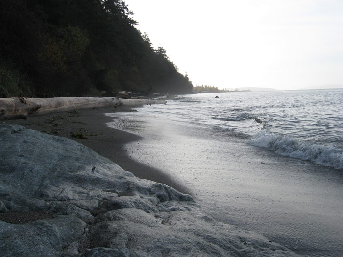 Searun Cutthroat Puget Sound beach